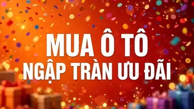 Địa điểm hỗ trợ xem xe tại Vĩnh Long